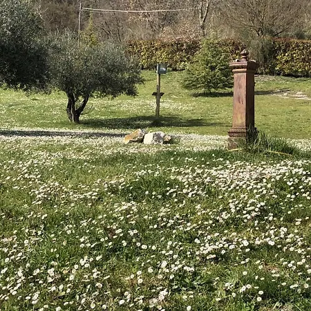 Della Regina * Rignano Flaminio